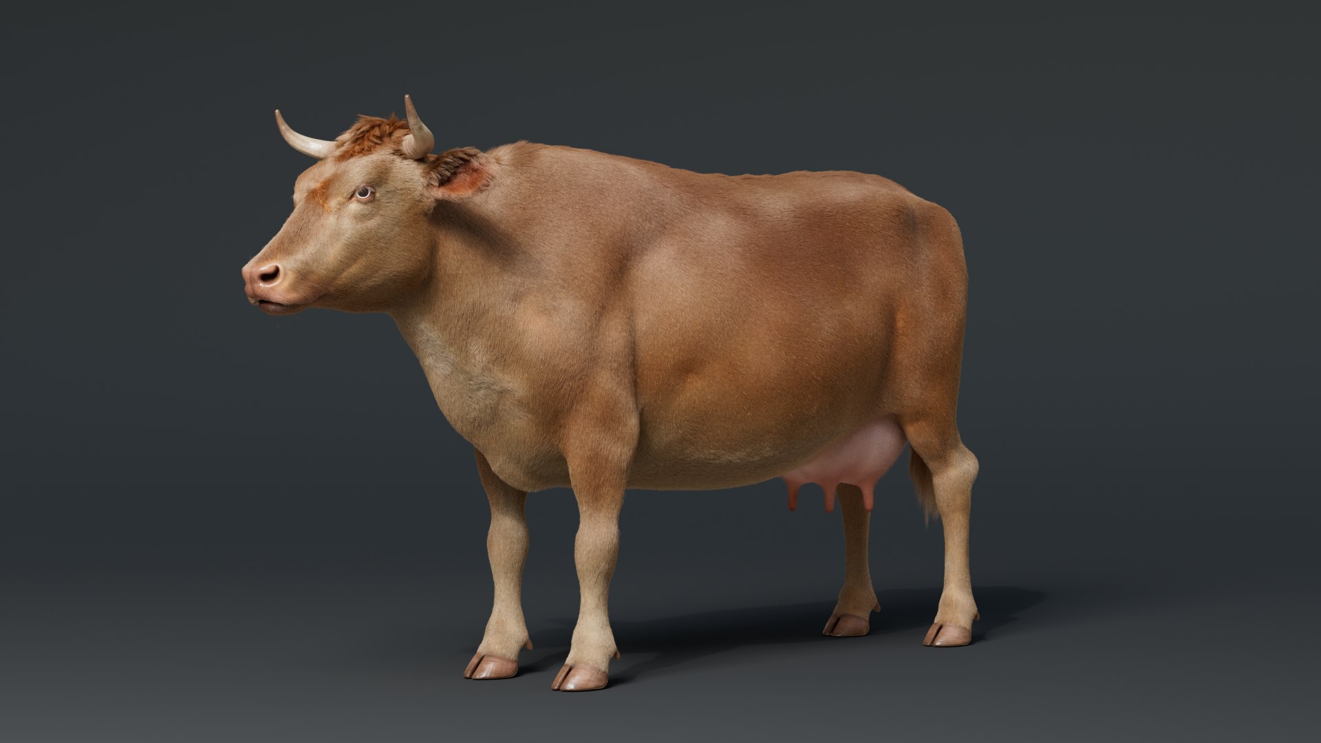 Cow With Fur 3 Textures 3D Model - TurboSquid 2082269
