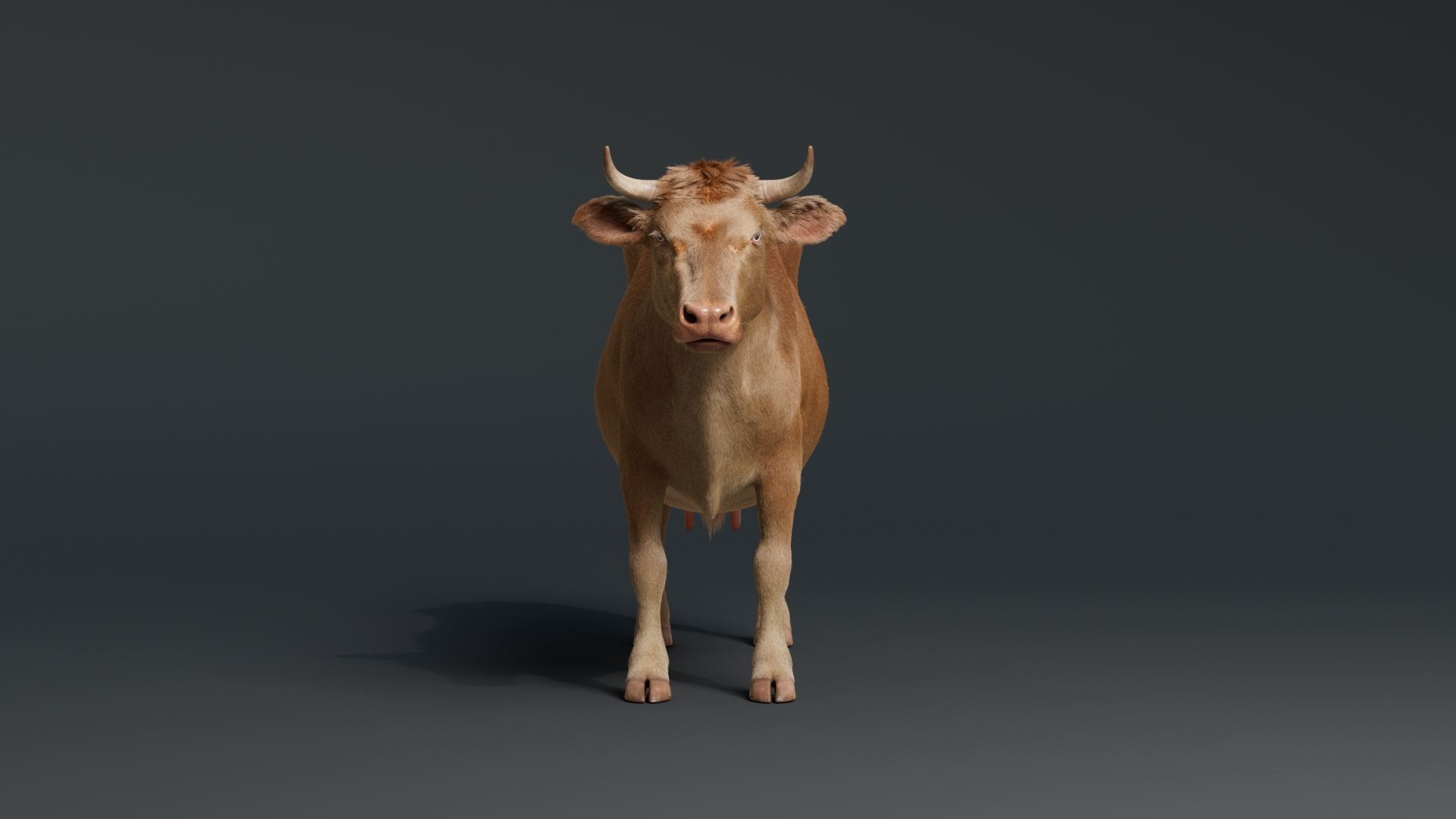 Cow With Fur 3 Textures 3D Model - TurboSquid 2082269