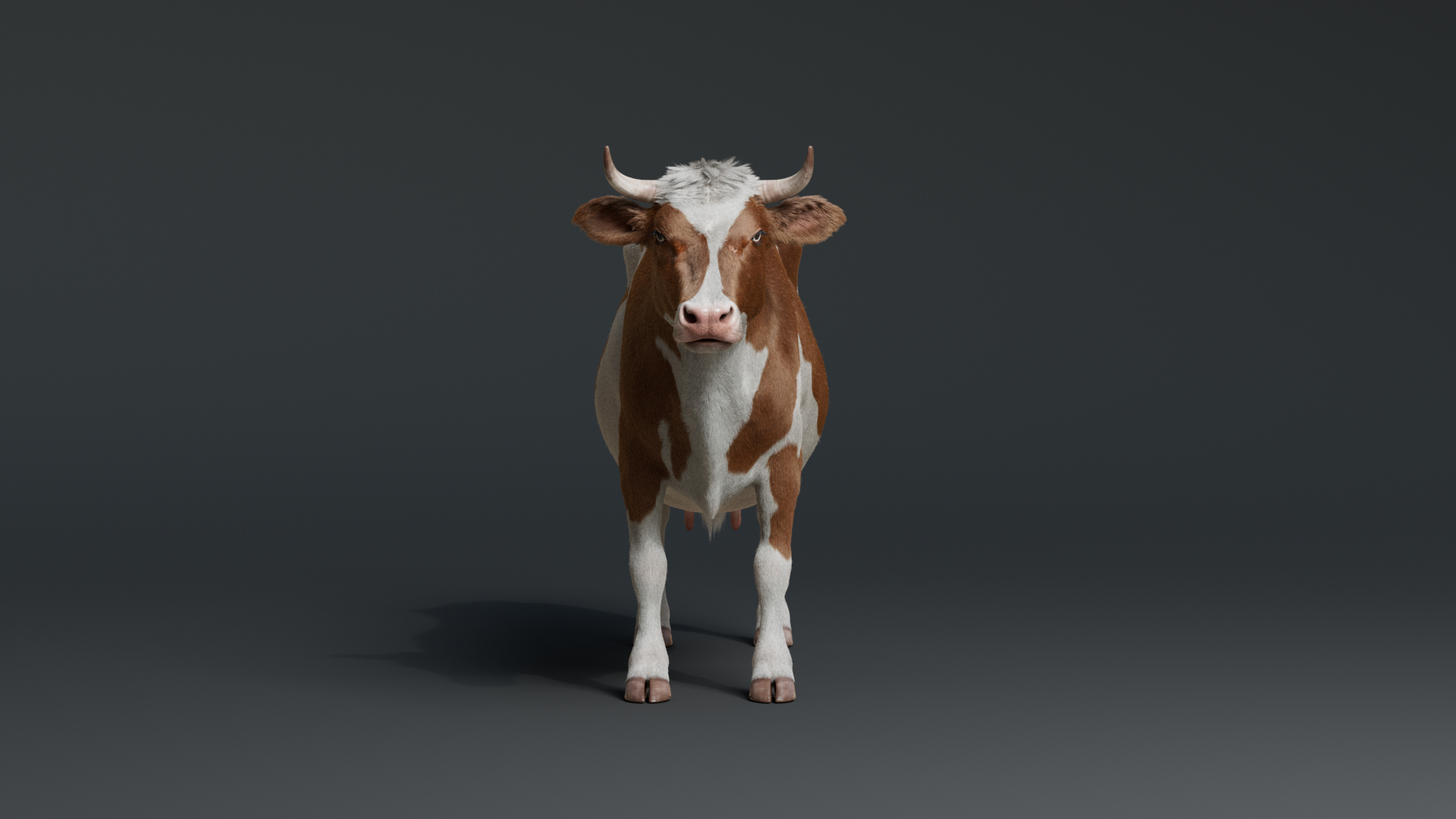 Cow With Fur 3 Textures 3D Model - TurboSquid 2082269