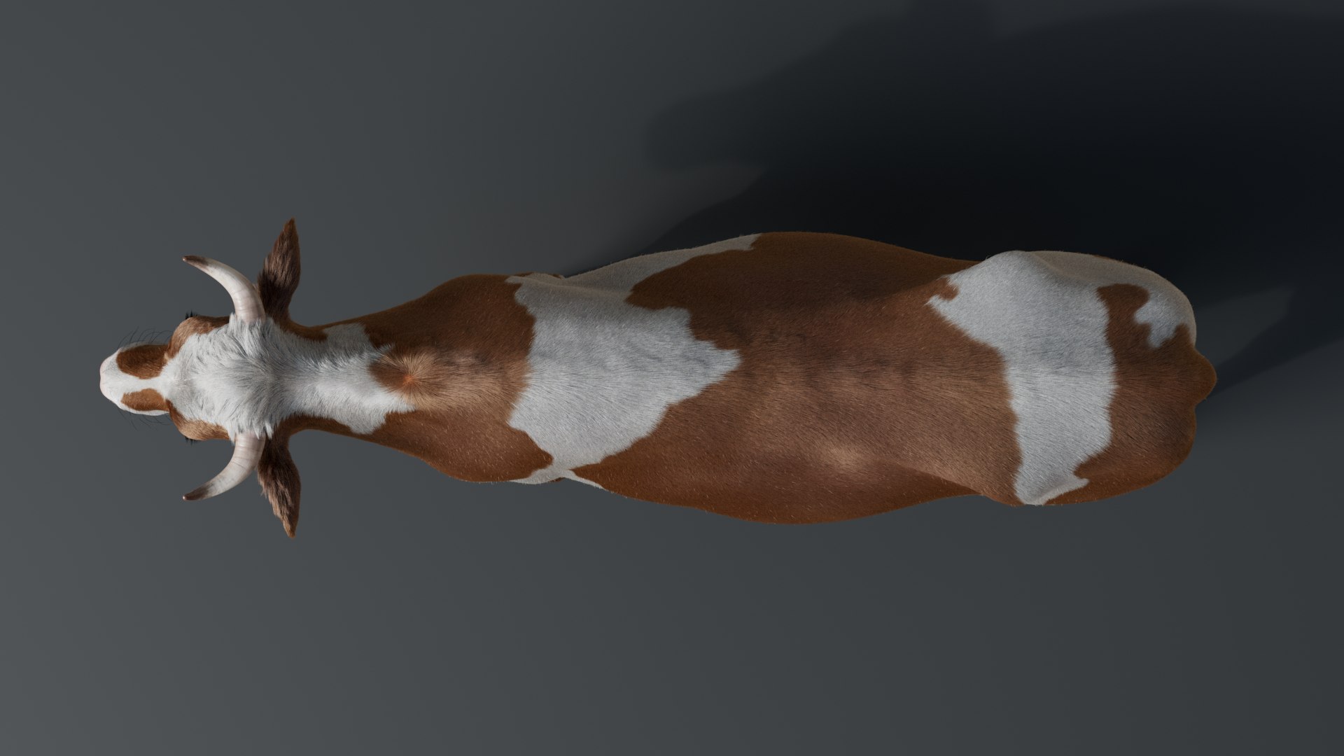 Cow With Fur 3 Textures 3D Model - TurboSquid 2082269