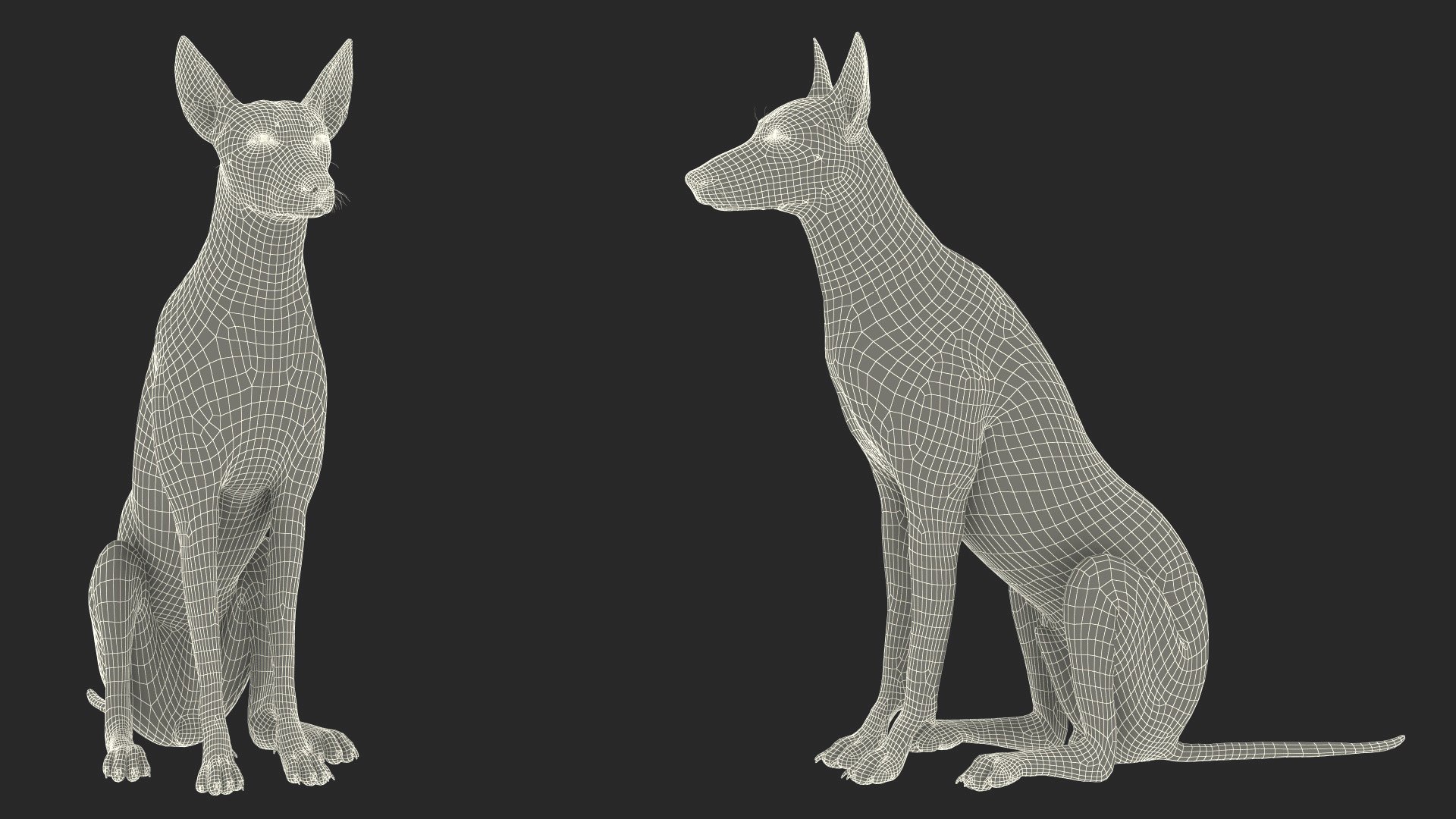 3D Xoloitzcuintle Mexican Hairless Breed Dog Fur https://p.turbosquid.com/ts-thumb/Zf/YBlXPQ/7X/xoloitzcuintlemexicanhairlessbreeddogfurmb3dmodel019/jpg/1702093442/1920x1080/fit_q87/e2288c09eb092fde2f4cd29c32cefec278526d83/xoloitzcuintlemexicanhairlessbreeddogfurmb3dmodel019.jpg