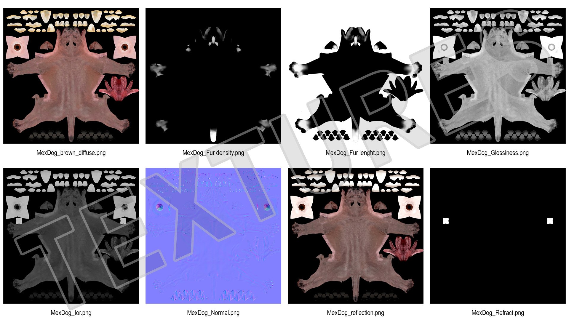 3D Xoloitzcuintle Mexican Hairless Breed Dog Fur https://p.turbosquid.com/ts-thumb/Zf/YBlXPQ/KA/xoloitzcuintlemexicanhairlessbreeddogfurmb3dmodel017/jpg/1702093433/1920x1080/fit_q87/583b15930e817e0875c93d58797a457252991eda/xoloitzcuintlemexicanhairlessbreeddogfurmb3dmodel017.jpg