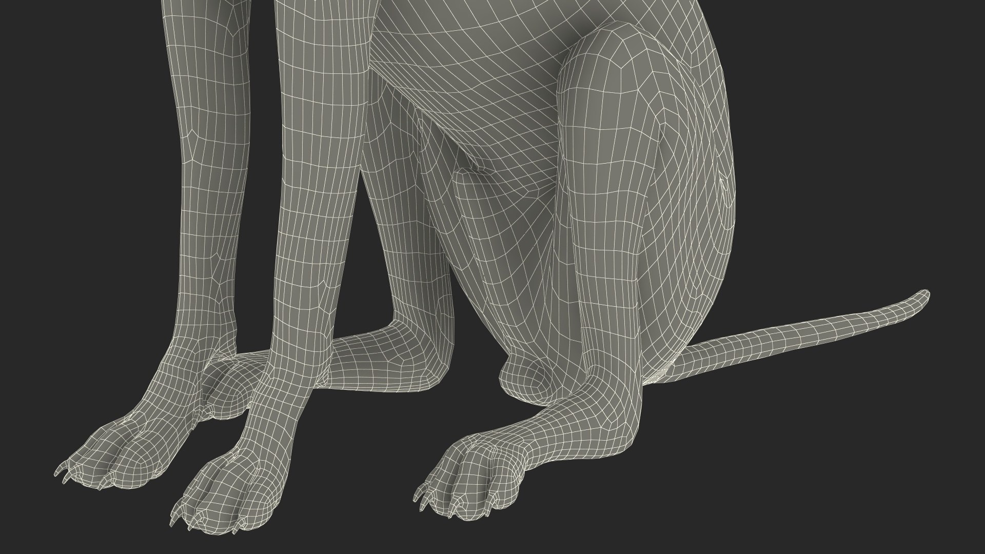 3D Xoloitzcuintle Mexican Hairless Breed Dog Fur https://p.turbosquid.com/ts-thumb/Zf/YBlXPQ/VY/xoloitzcuintlemexicanhairlessbreeddogfurmb3dmodel022/jpg/1702093455/1920x1080/fit_q87/cff16ab37d3e5493872c87961b19ddfc91591a32/xoloitzcuintlemexicanhairlessbreeddogfurmb3dmodel022.jpg