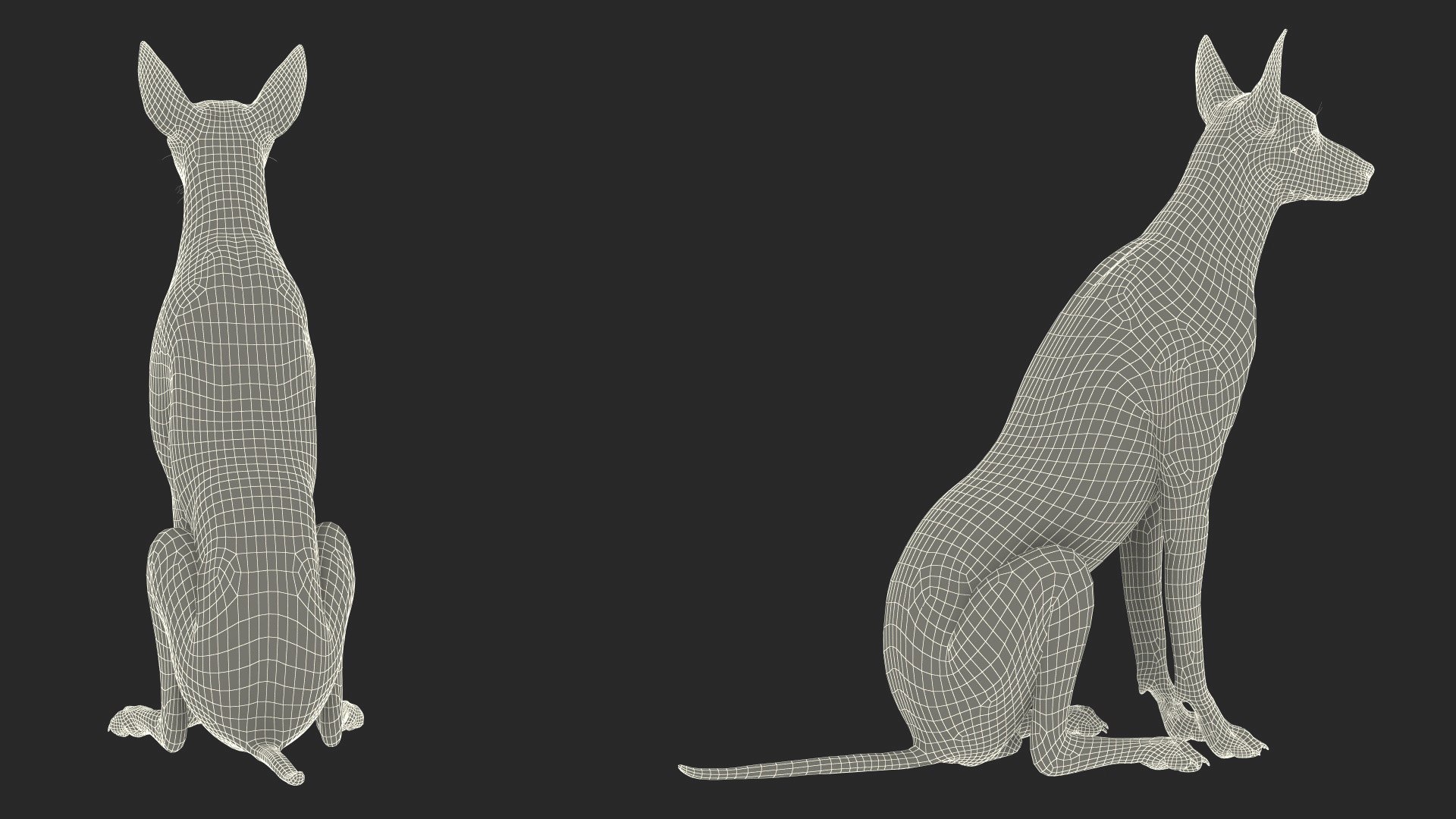 3D Xoloitzcuintle Mexican Hairless Breed Dog Fur https://p.turbosquid.com/ts-thumb/Zf/YBlXPQ/k7/xoloitzcuintlemexicanhairlessbreeddogfurmb3dmodel020/jpg/1702093446/1920x1080/fit_q87/e75d806499bb76dedeb7794c5c59a6903dcb8212/xoloitzcuintlemexicanhairlessbreeddogfurmb3dmodel020.jpg