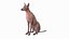 Xoloitzcuintle Mexican Hairless Breed Dog Fur