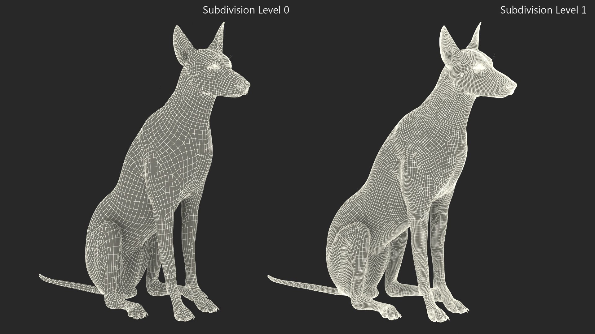 3D Xoloitzcuintle Mexican Hairless Breed Dog Fur https://p.turbosquid.com/ts-thumb/Zf/YBlXPQ/wJ/xoloitzcuintlemexicanhairlessbreeddogfurmb3dmodel015/jpg/1702093423/1920x1080/fit_q87/ccd0ed1a29ba3fca2f8eeead776cf9a7ca5e8fca/xoloitzcuintlemexicanhairlessbreeddogfurmb3dmodel015.jpg