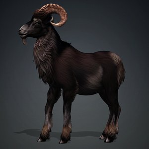 Goat-B2 model