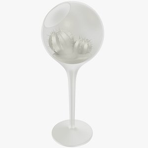 Cactus in Transparent Pot V6