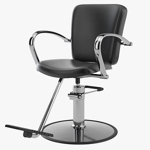 Salon Chair 3D model