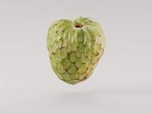 Cherimoya fruit 3d model