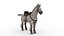Cheval sellé