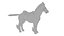 Cheval sellé
