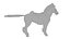 Cheval sellé