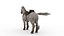 Cheval sellé