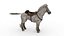 Cheval sellé