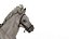 Cheval sellé