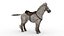Cheval sellé