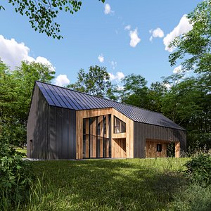 ModernHouse11