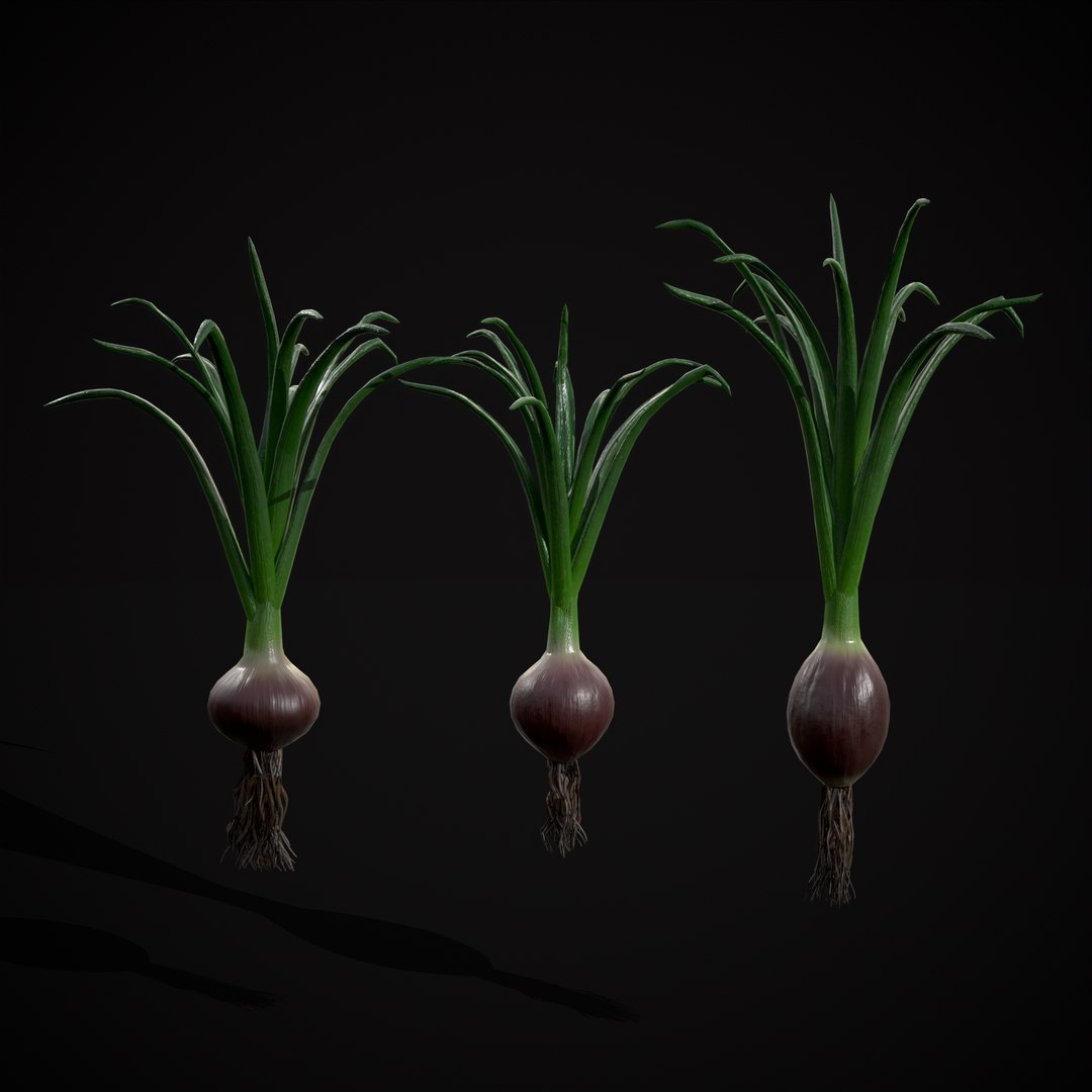 Red Onions 3D model https://p.turbosquid.com/ts-thumb/Zg/TPR9KL/0c/r5/png/1710374766/1920x1080/fit_q87/65ad9c37b4be56d9017c7a9278a2670c6c72c82c/r5.jpg