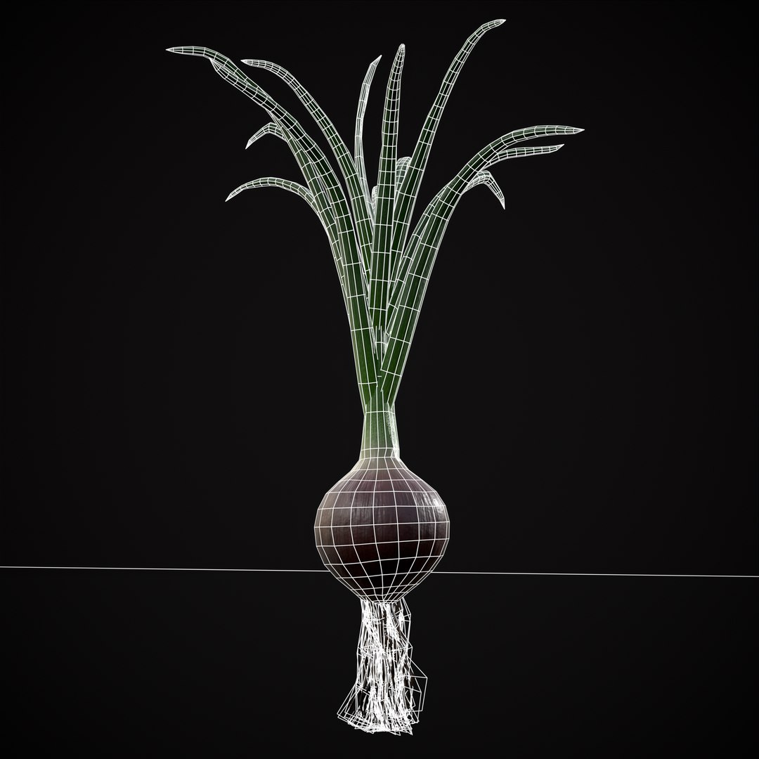 Red Onions 3D model https://p.turbosquid.com/ts-thumb/Zg/TPR9KL/4c/r14/png/1710374872/1920x1080/fit_q87/30da6068a6426ad8ea47ff3132b6cec14029fc25/r14.jpg