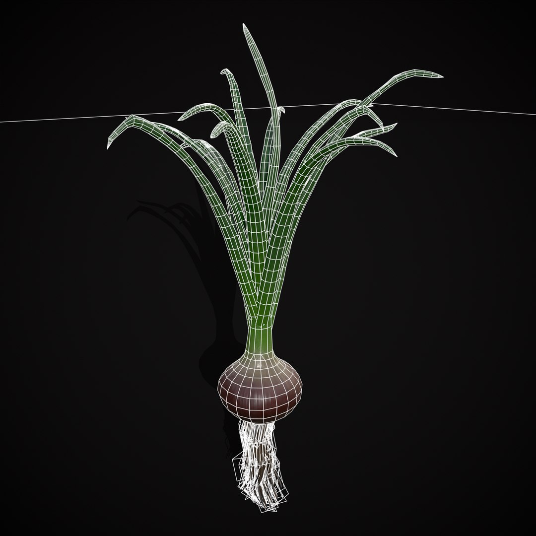Red Onions 3D model https://p.turbosquid.com/ts-thumb/Zg/TPR9KL/8I/r18/png/1710374870/1920x1080/fit_q87/3b7e8c26ee3998e420fe7c633bebba8ac926093c/r18.jpg