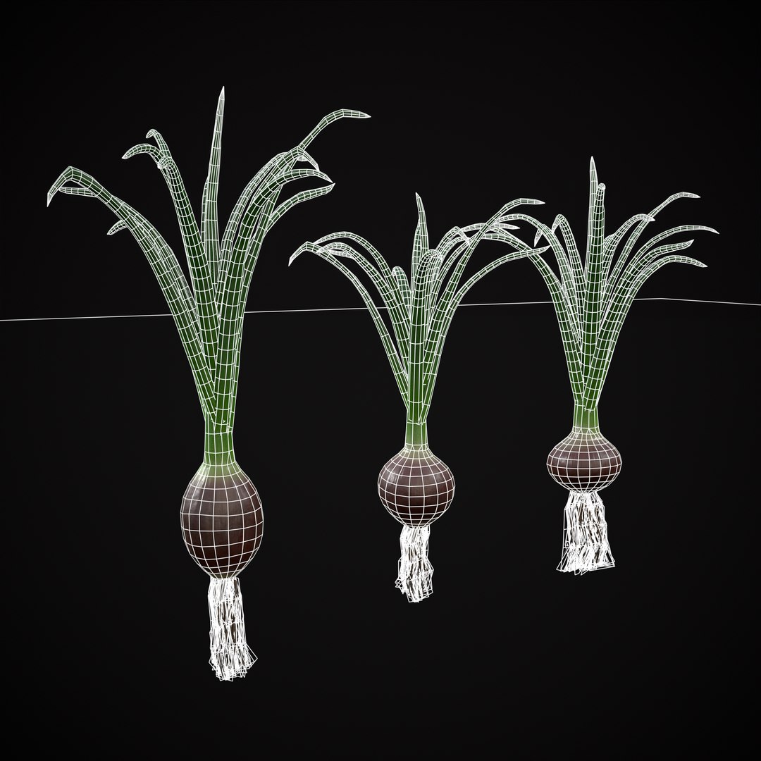 Red Onions 3D model https://p.turbosquid.com/ts-thumb/Zg/TPR9KL/8j/r2/png/1710374768/1920x1080/fit_q87/db705cf8fec7e0224c68312a1e360468f62b761c/r2.jpg