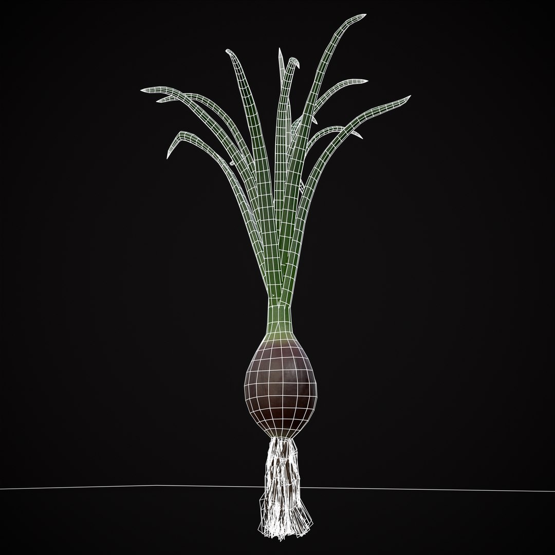 Red Onions 3D model https://p.turbosquid.com/ts-thumb/Zg/TPR9KL/BP/r10/png/1710374772/1920x1080/fit_q87/d46c8e129564b4815eba03cc86b459f364cf4d73/r10.jpg