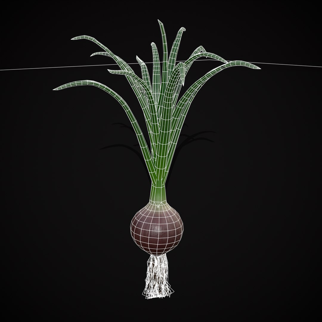 Red Onions 3D model https://p.turbosquid.com/ts-thumb/Zg/TPR9KL/aH/r16/png/1710374869/1920x1080/fit_q87/ccaeb4b4f64c4dfac80fc9a5e041b60da3b9ce5c/r16.jpg