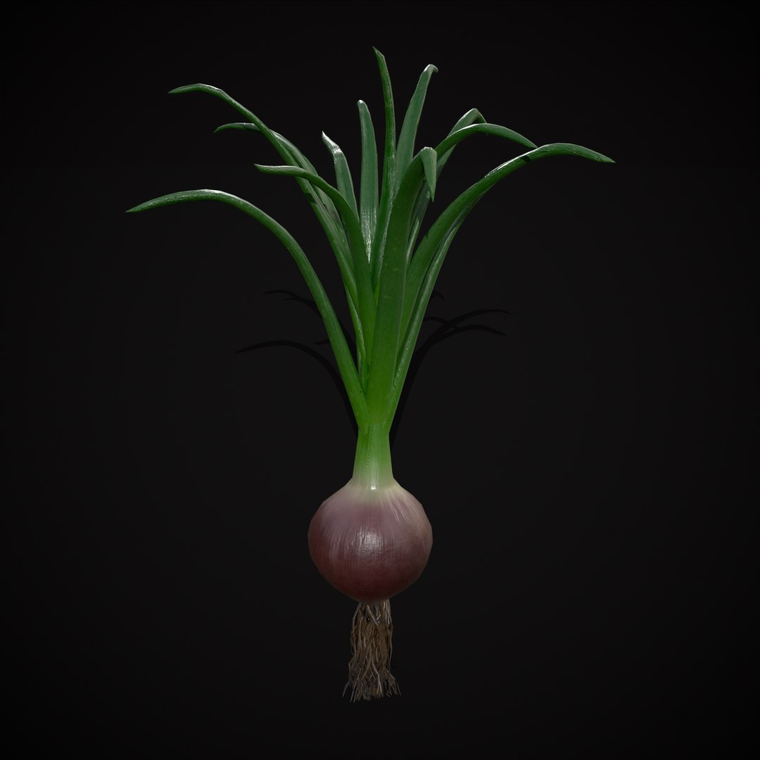 Red Onions 3D model https://p.turbosquid.com/ts-thumb/Zg/TPR9KL/ba/r15/png/1710374870/1920x1080/fit_q87/cbf484335b557eed14a82fc362271877238c04c5/r15.jpg