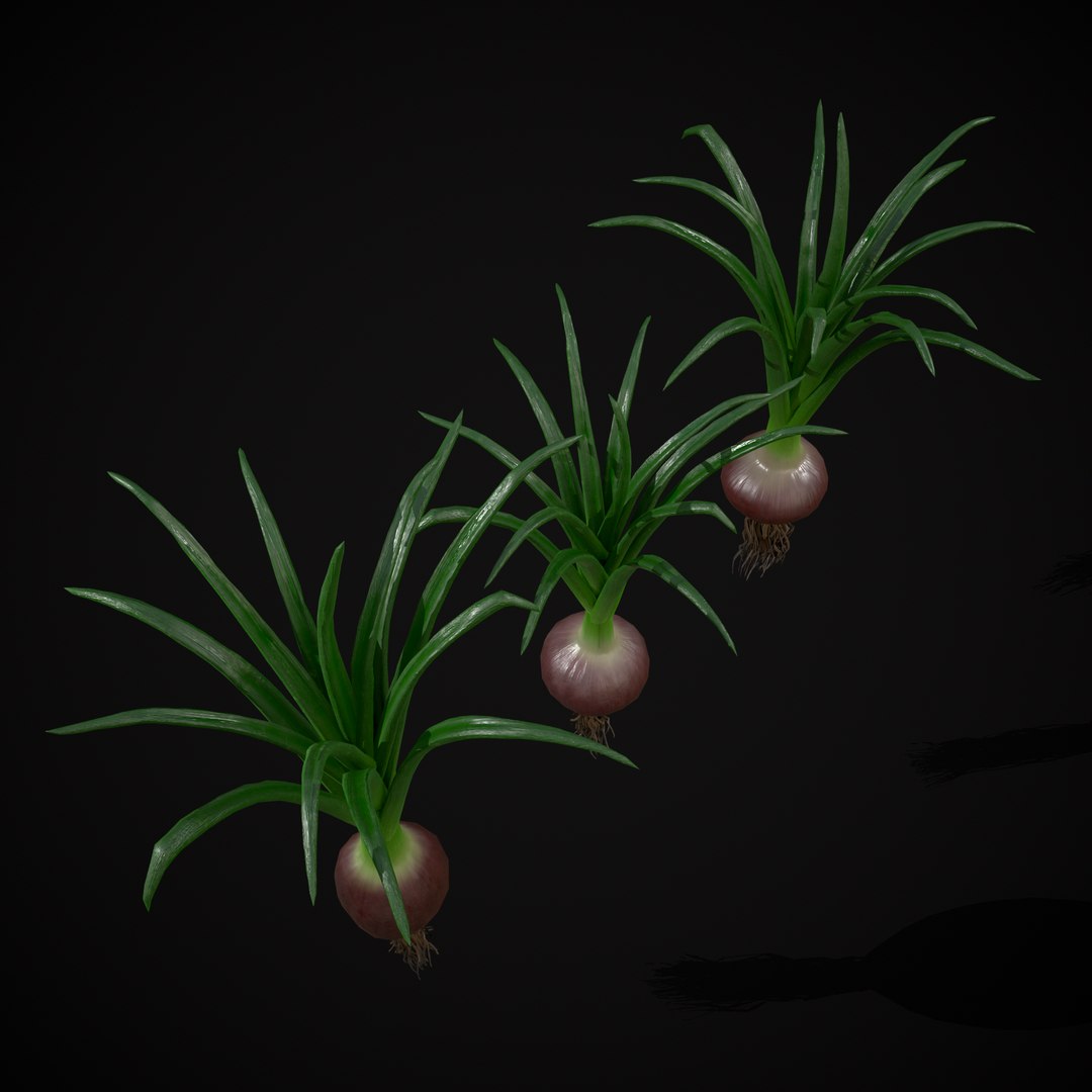 Red Onions 3D model https://p.turbosquid.com/ts-thumb/Zg/TPR9KL/cp/r7/png/1710374763/1920x1080/fit_q87/67a765e73355a156a9b14ae87b7fbc3c55cddebc/r7.jpg