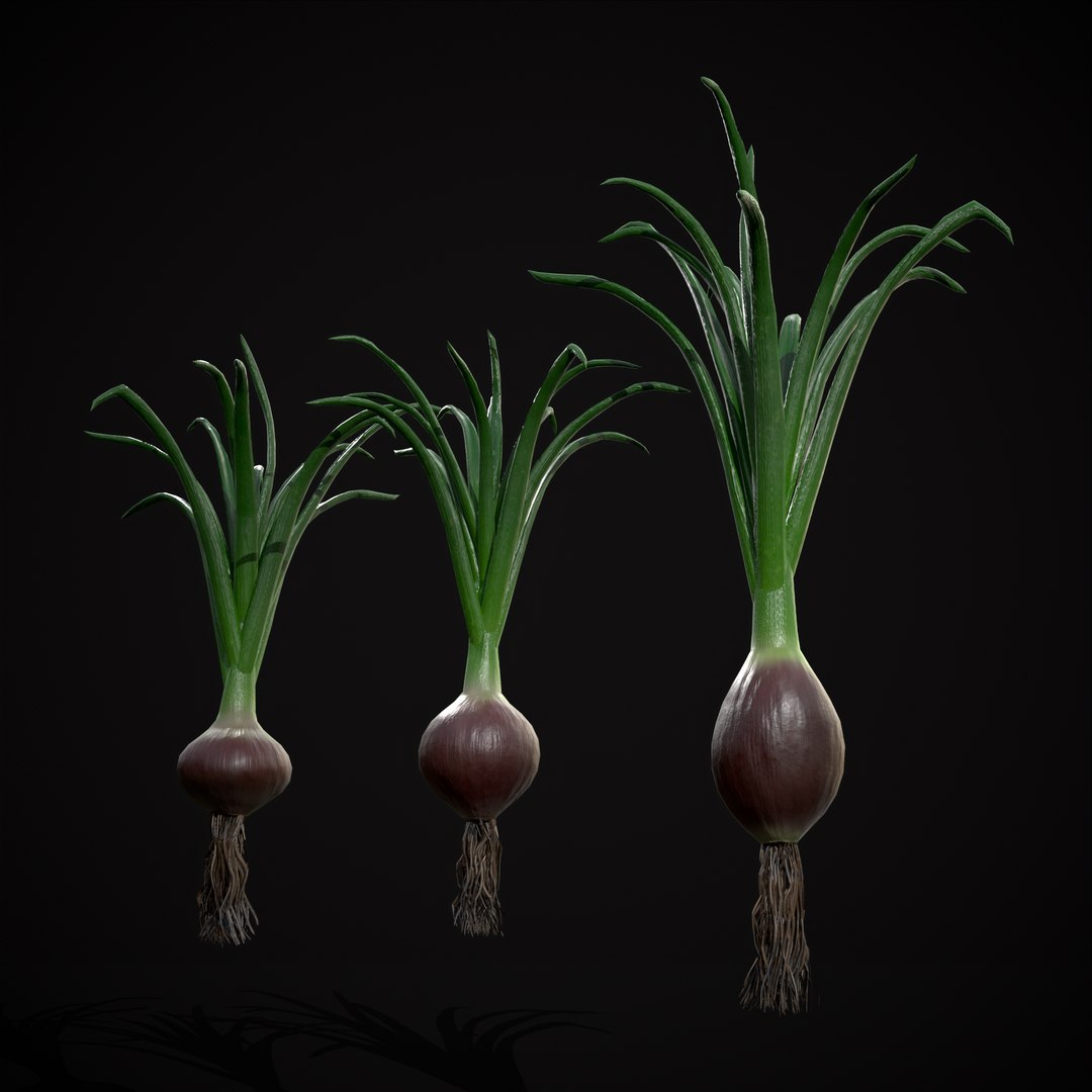 Red Onions 3D model https://p.turbosquid.com/ts-thumb/Zg/TPR9KL/gd/r3/png/1710374768/1920x1080/fit_q87/e53f298d9f7268b5673889186c4f60fb2e035b32/r3.jpg