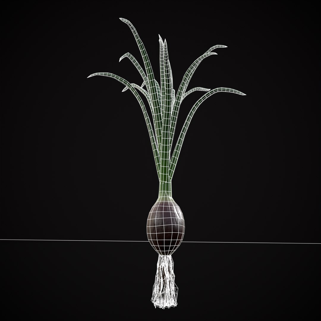 Red Onions 3D model https://p.turbosquid.com/ts-thumb/Zg/TPR9KL/jp/r12/png/1710374872/1920x1080/fit_q87/95ba05ea4331f1e50d05ddecc72f467bb91d9450/r12.jpg