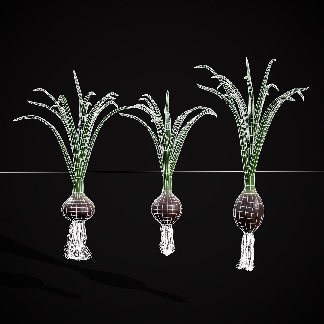 Red Onions 3D model https://p.turbosquid.com/ts-thumb/Zg/TPR9KL/jt/r6/png/1710374764/1920x1080/fit_q87/ddab454138192a1294fde76a94a68ce25021186f/r6.jpg