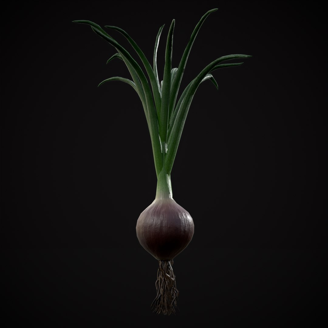 Red Onions 3D model https://p.turbosquid.com/ts-thumb/Zg/TPR9KL/mz/r13/png/1710374874/1920x1080/fit_q87/a182f40639528ab438a99518329963c7682c91cb/r13.jpg