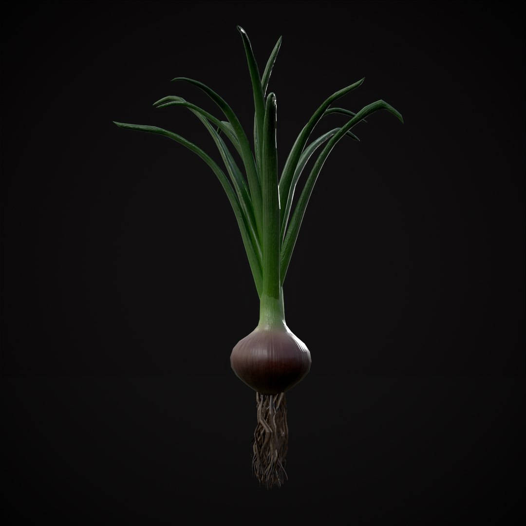 Red Onions 3D model https://p.turbosquid.com/ts-thumb/Zg/TPR9KL/qa/r19/png/1710374866/1920x1080/fit_q87/7f5de3a9922f55380f5517eb8cf0dc84c82c6271/r19.jpg