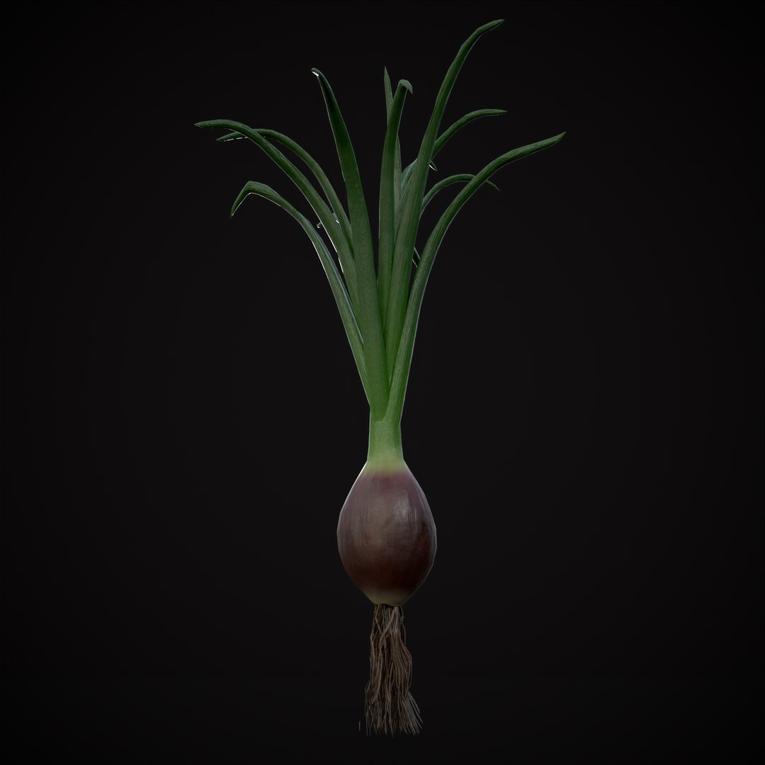 Red Onions 3D model https://p.turbosquid.com/ts-thumb/Zg/TPR9KL/tc/r9/png/1710374773/1920x1080/fit_q87/32738b589e47187ac1bcf6dd56a7b1222e4d62a7/r9.jpg