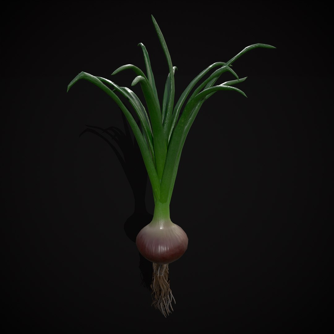 Red Onions 3D model https://p.turbosquid.com/ts-thumb/Zg/TPR9KL/ys/r17/png/1710374867/1920x1080/fit_q87/f8bbae41028224737bc8c65b2a57ddb48f5da533/r17.jpg