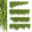 Ivy Hanging Wall Plants Collection Vol 307