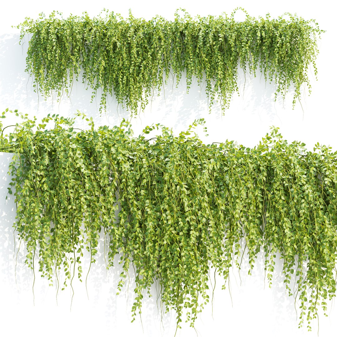 Ivy Hanging Wall Plants Collection Vol 307 3D model https://p.turbosquid.com/ts-thumb/Zg/VARaTU/Xq/6/jpg/1759141469/1920x1080/fit_q87/8232c053e1625441160feef162a39271f6e5e01e/6.jpg