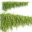 Ivy Hanging Wall Plants Collection Vol 307