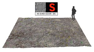 3d obj coniferous forest soil 8k