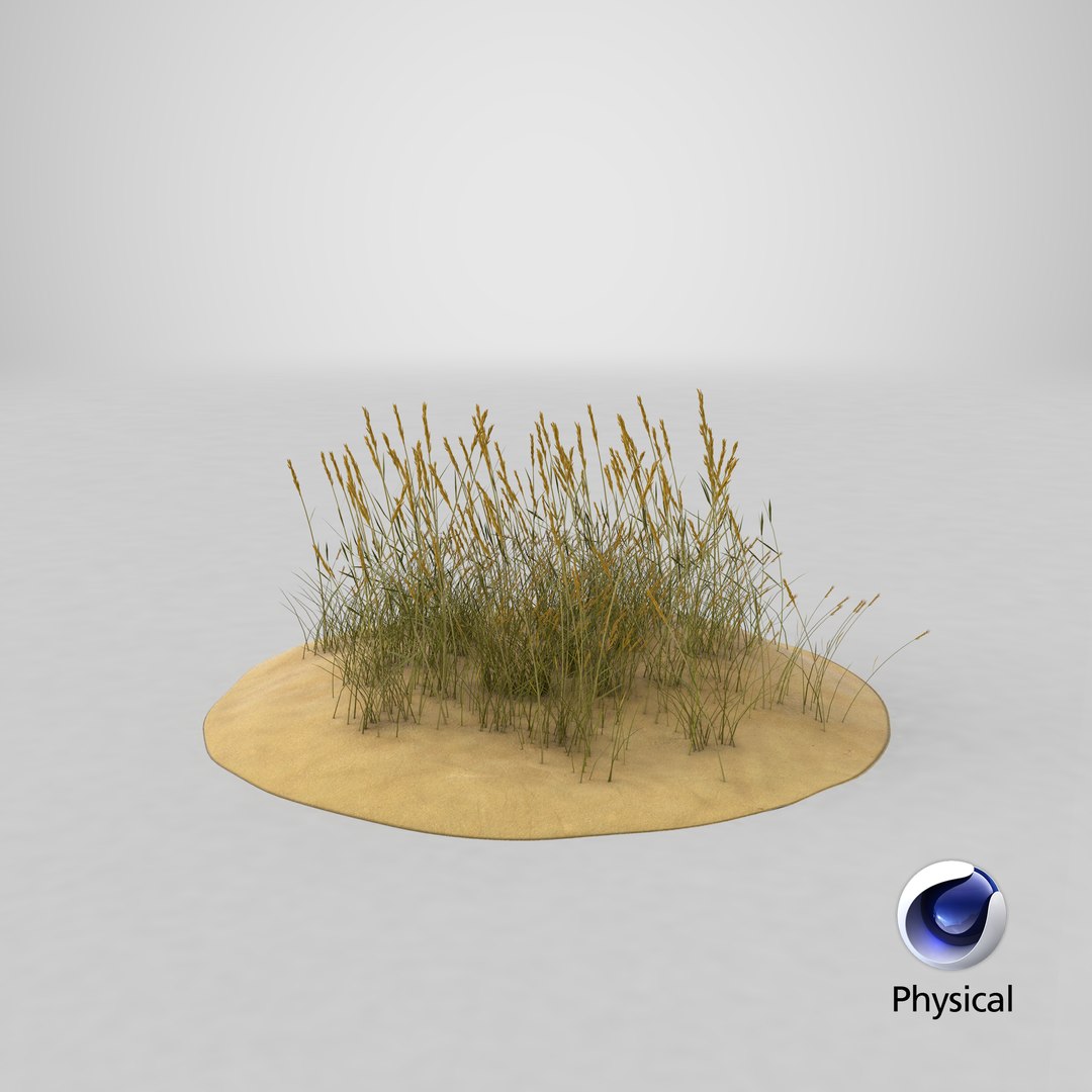 sand-dunes-with-grass---dune-1 3D model https://p.turbosquid.com/ts-thumb/Zg/e0CWMn/2oy7G5Io/stemcell_cinema_4d_physical_render/png/1544824930/1920x1080/fit_q87/b2b434ab33a615d4306e26d2ac477c9951aa50de/stemcell_cinema_4d_physical_render.jpg