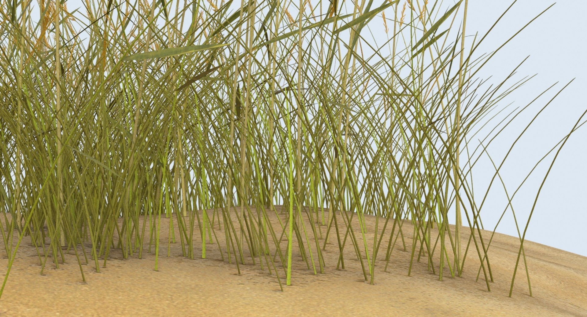 sand-dunes-with-grass---dune-1 3D model https://p.turbosquid.com/ts-thumb/Zg/e0CWMn/EQXeKik5/sand_dune_1_productshot_0008/jpg/1544468443/1920x1080/fit_q87/11612e5b506af7077e7cbf8773be40a013ce5577/sand_dune_1_productshot_0008.jpg