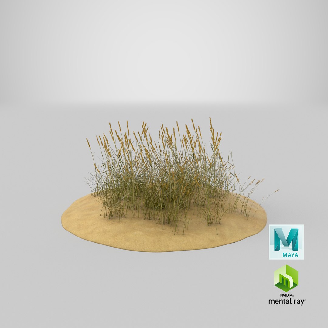 sand-dunes-with-grass---dune-1 3D model https://p.turbosquid.com/ts-thumb/Zg/e0CWMn/Okt8EmJk/stemcell_maya_mental_ray_render/png/1544824908/1920x1080/fit_q87/fd0d45e0c1fd0665d6799ddf45c2d30eab388b88/stemcell_maya_mental_ray_render.jpg