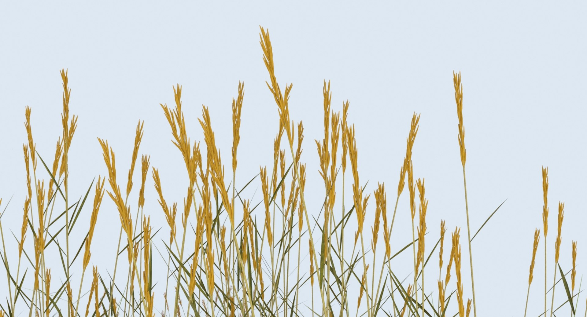 sand-dunes-with-grass---dune-1 3D model https://p.turbosquid.com/ts-thumb/Zg/e0CWMn/YlTYKRG9/sand_dune_1_productshot_0007/jpg/1544468435/1920x1080/fit_q87/25f18a24041883ce5b31de94ce3e950762af816f/sand_dune_1_productshot_0007.jpg