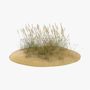 sand-dunes-with-grass---dune-1 3D model
