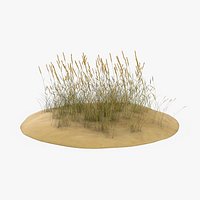 Sand Dunes with Grass 01