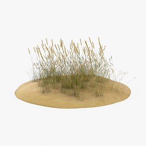 Sand Dunes with Grass 01