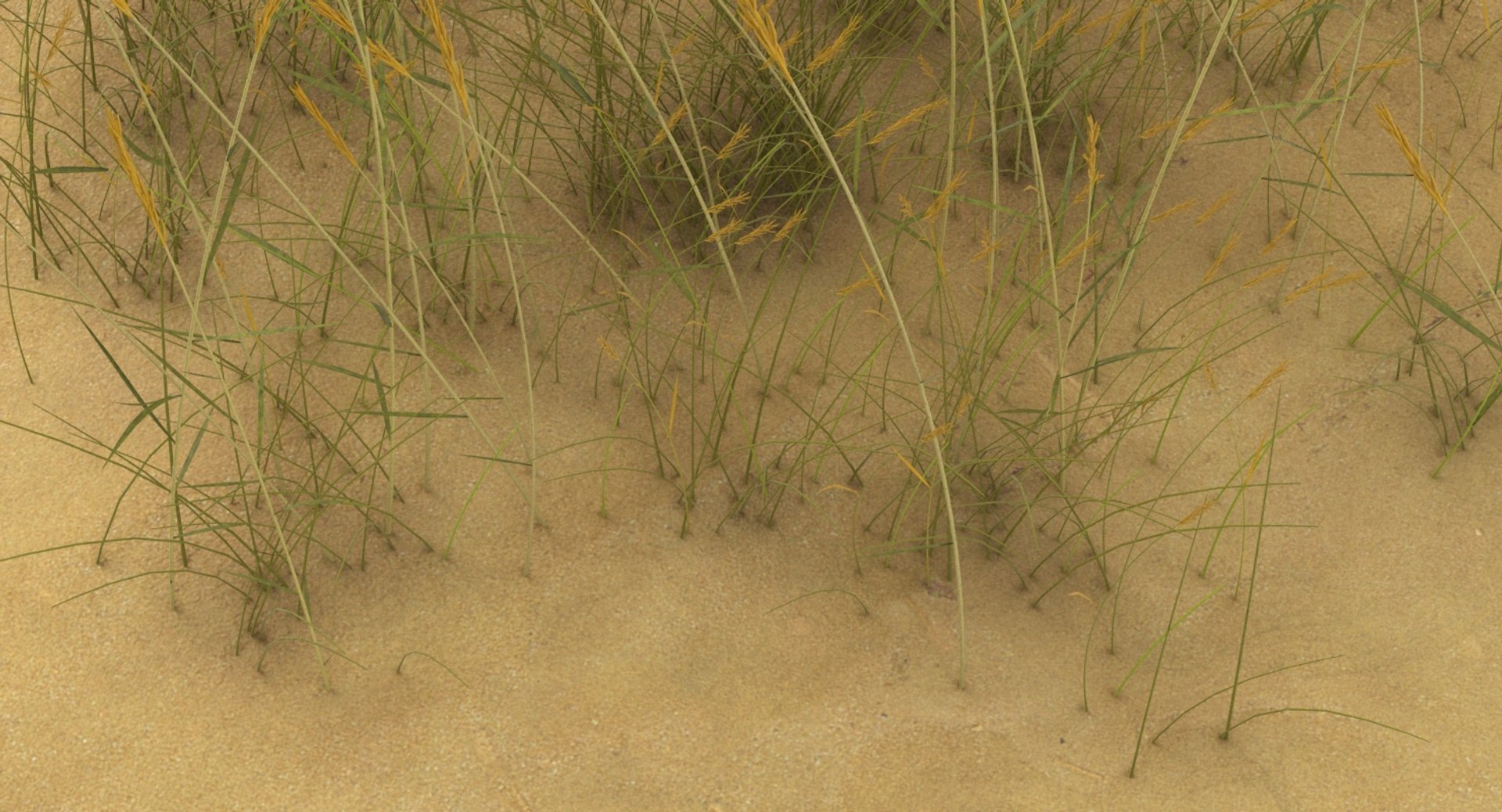 sand-dunes-with-grass---dune-1 3D model https://p.turbosquid.com/ts-thumb/Zg/e0CWMn/f2ZRoVEg/sand_dune_1_productshot_0006/jpg/1544468424/1920x1080/fit_q87/4c51b4940b8b65fd691be362a681bab04c38bc74/sand_dune_1_productshot_0006.jpg