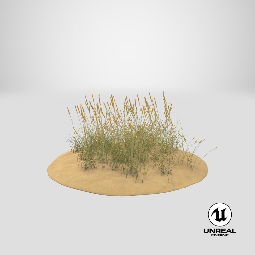sand-dunes-with-grass---dune-1 3D model https://p.turbosquid.com/ts-thumb/Zg/e0CWMn/mmcTWQVv/stemcell_unreal_render/png/1544824922/1920x1080/fit_q87/5512397b3097ec0d62edde23a65c9793742d0cc5/stemcell_unreal_render.jpg